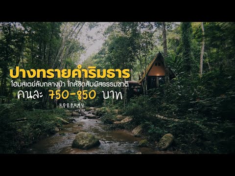 ปางทรายคำริมธาร 🌳 โฮมสเตย์กลางป่า