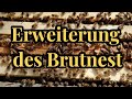 Unser Ergebnis  nach Erweiterung und Brutnest ausdehnung | So machen wir es