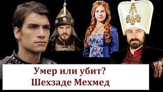 Загадочная смерть шехзаде Мехмеда. Умер или убит?