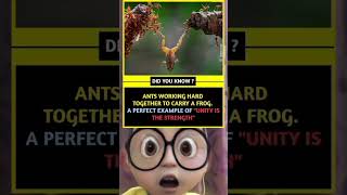 Unity is the strength🙏🙏#viral #memes #shorts