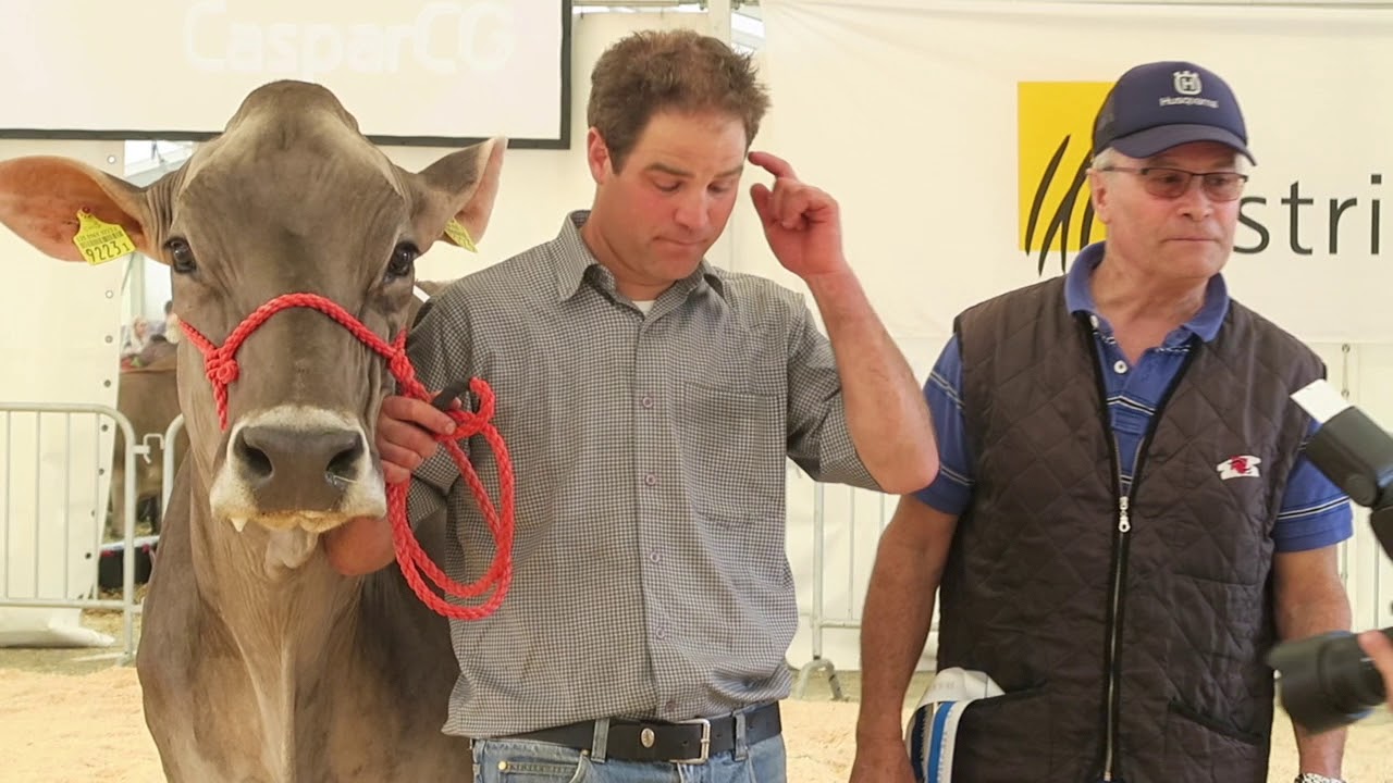 REGIONAL-SCHAU Zürcher Oberland + JUNIOREXPO - 14. APRIL 2018