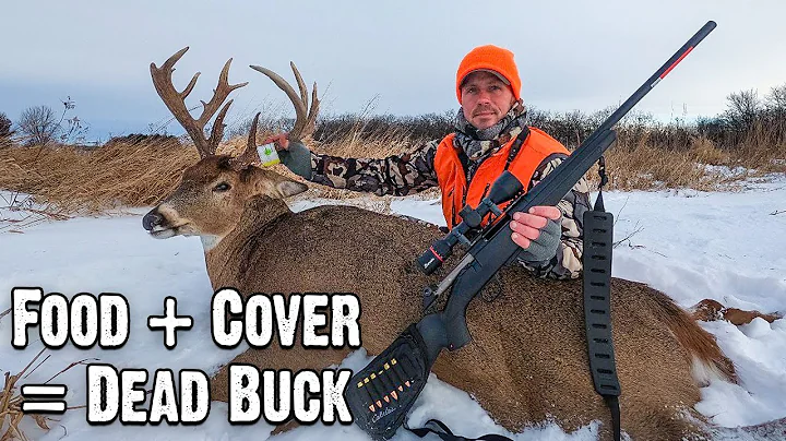 Textbook Winter Whitetail Hunt | Late Season Buck Shift Explained