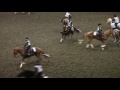 Horsing Around | The City Exposed