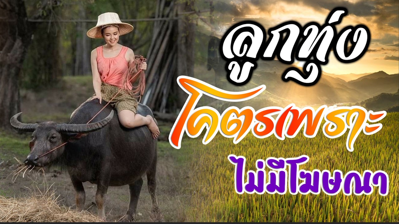 ลูกทุ่งรวมเพลงเพราะมาก :(คัดมาพิเศษ) - ฟังต่อเนื่อง คุณภาพเสียง HD