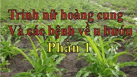 BTV - Trinh nữ hoàng cung và các bệnh về u bướu P1 - full