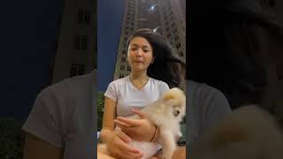 Mau Cari Yg Kaya Gitu Dimana Ya