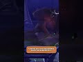 World of Warcraft | This is the Suramar in the Legion expansion #worldofwarcraft #wow #legion #zone