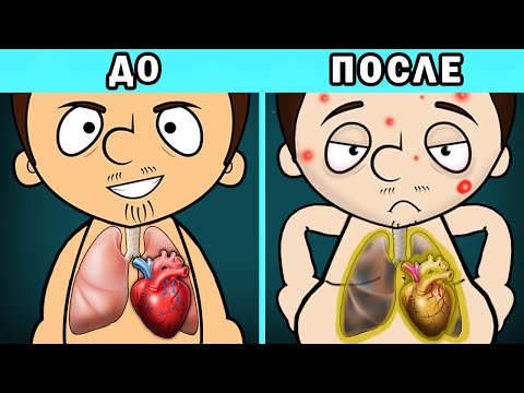 Что Если Есть Только Чипсы