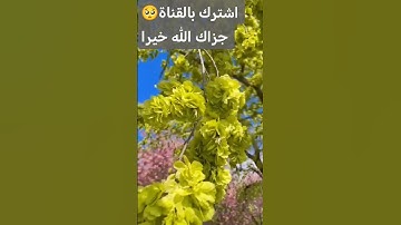 قرآن #trending #اكسبلور #funny #تيك_توك #tiktok #لايك #ترند #محبي_القارئه_منة #cute #cat #comedy #