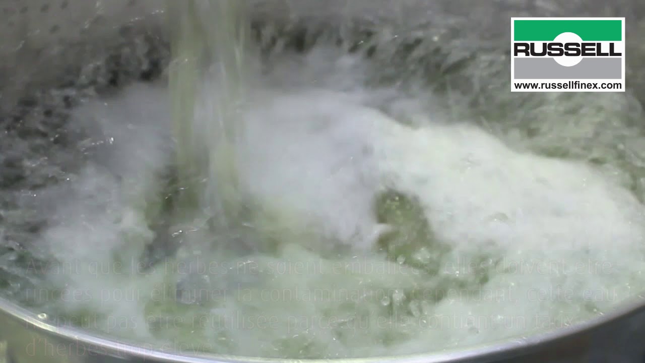 Reutilisation de l’eau de lavage des herbes par tamis vibrants