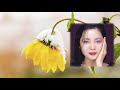 冬のひまわり Sunflower of Winter アジアの歌姫 鄧麗君 Teresa Teng テレサ・テン