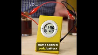 Home science: soda battery