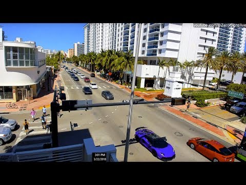 Thumbnail for Live HD Webcam: South Beach, Miami Beach.
