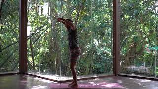 FluidUs Portal to the Monkey Lunge