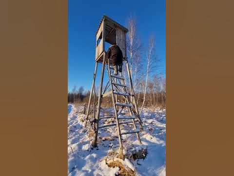 вышка в лесу - YouTube