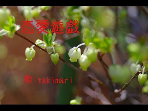 恋愛遊戯 ( 太田裕美 ) 自作伴奏cover / 歌：takimari