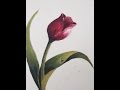 Акварель.Тональность. Рисуем вместе тюльпан.Tulip in watercolour