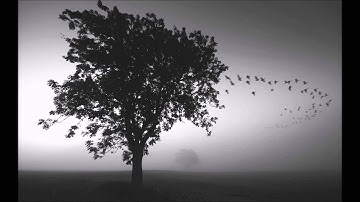 Big Sean - One Man Can Change The World ft. Kanye West & John Legend