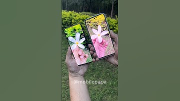 Samsung A35 vs Oppo F25 pro Camera Comparison 🤜📸🤛 #shorts #samsunga35 #oppof25pro #comparison