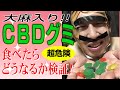 【大麻入り】話題のCBDグミ食べたら大変な事に…【超危険】#160