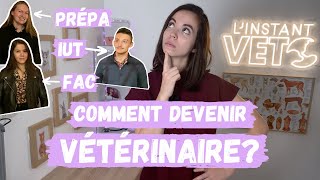 Où faire ses etudes de vétérinaire ?