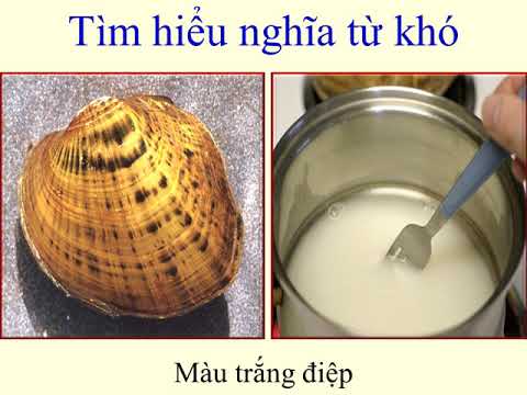Video TẬP ĐỌC LỚP 5 - TUẦN 27 - BÀI: TRANH LÀNG HỒ - youtube