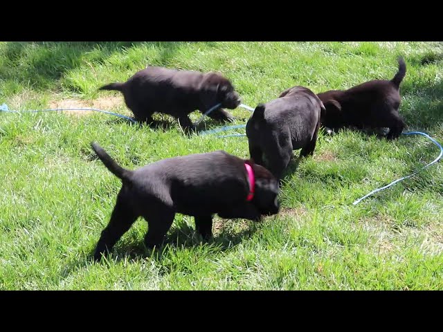 Landon video thumbnail