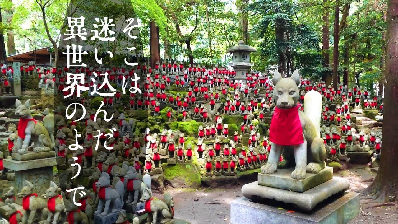 【70代の日常】GWでイオンモール豊川と豊川稲荷へ行ってきました【vlog/シニアライフ】