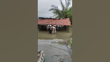 Quăng chài bắt cá mùa nước lũ