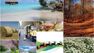 Learn Norwegian seasons and months of the year