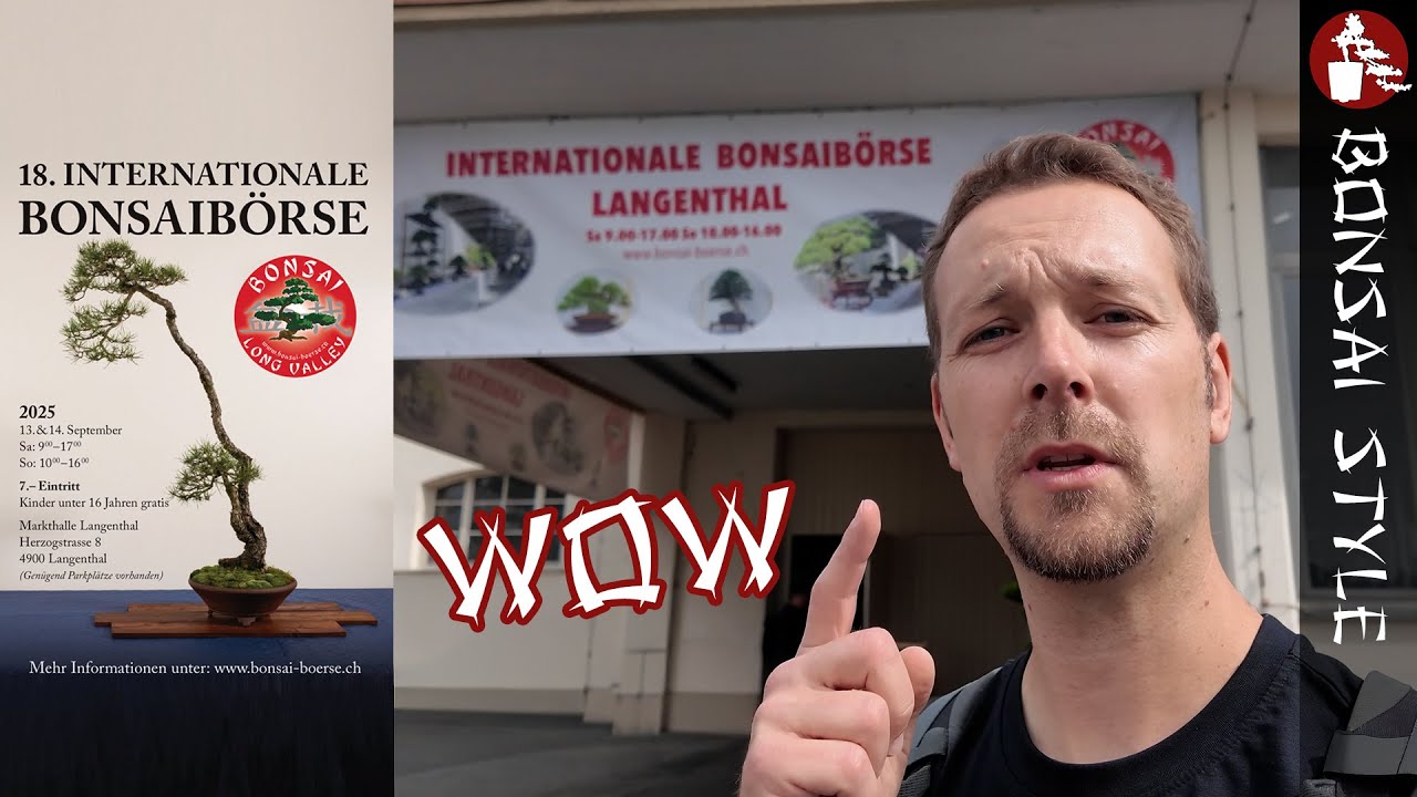 Bonsai Börse 2025 in Langenthal | #123
