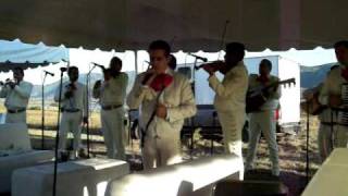 Video thumbnail of "ya lo se que tu te vas  Mariachi"