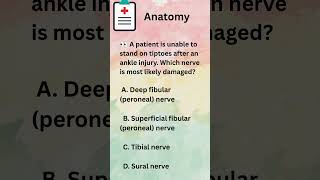 day 97-Competitive Medical MCQs #anatomy #doctors #youtubeshortsfeed