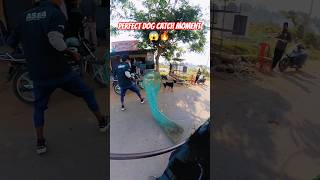 Catcher In India Amazing #dog #amazing #india #streetdogrevival #ytviral