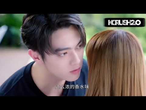 Chinese mix hindi songs 2021💗Falling Into Your Smile💗 Cdrama💗