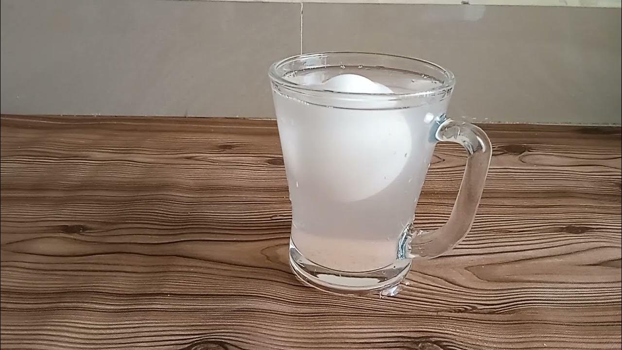why does egg float in salt water YouTube