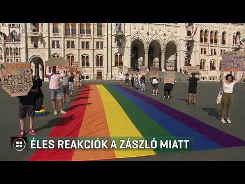 Gyakori Panaszok Típusai és Megoldási Lépések