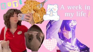 A Week In My Life