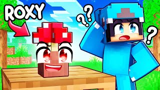 Minecraft HIDE AND SEEK PROP HUNT With Crazy Fan Girl!
