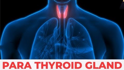 Parathyroid glands in Tamil