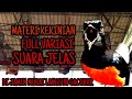 SIMULASI LOMBA MURAI BATU TERBARU