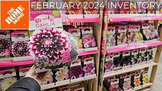 Home Depot Inventory February 2024 Summer Bulbs! Incredible Variety.