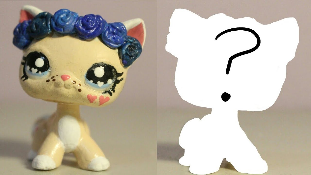 greek spur thighed tortoise