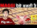 MAGGI FACTORY में कैसे बनाई जाती है | How is Maggi Made in Factories