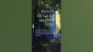 القرآن الكريم راحة نفسية بصوت ماهر المعيقلي تلاوة مؤثرة حالات واتس اب دينية