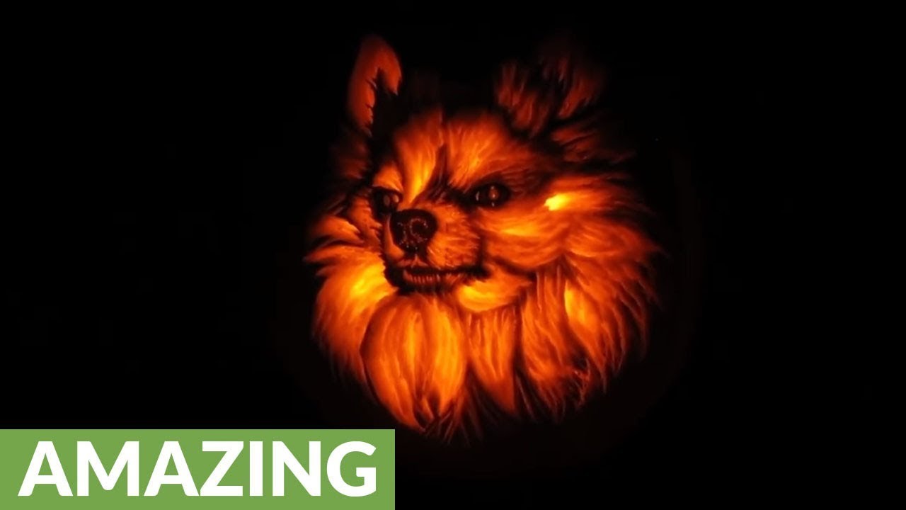 Incredible pumpkin carving time lapse footage