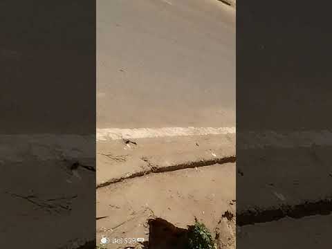 A Walk Around Machakos Academy Road MercyNguku The World Traveller Worshipsongrewritten