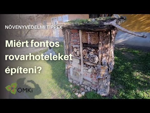 Videó: Miért Fontos Rövid Szüneteket Tartani?