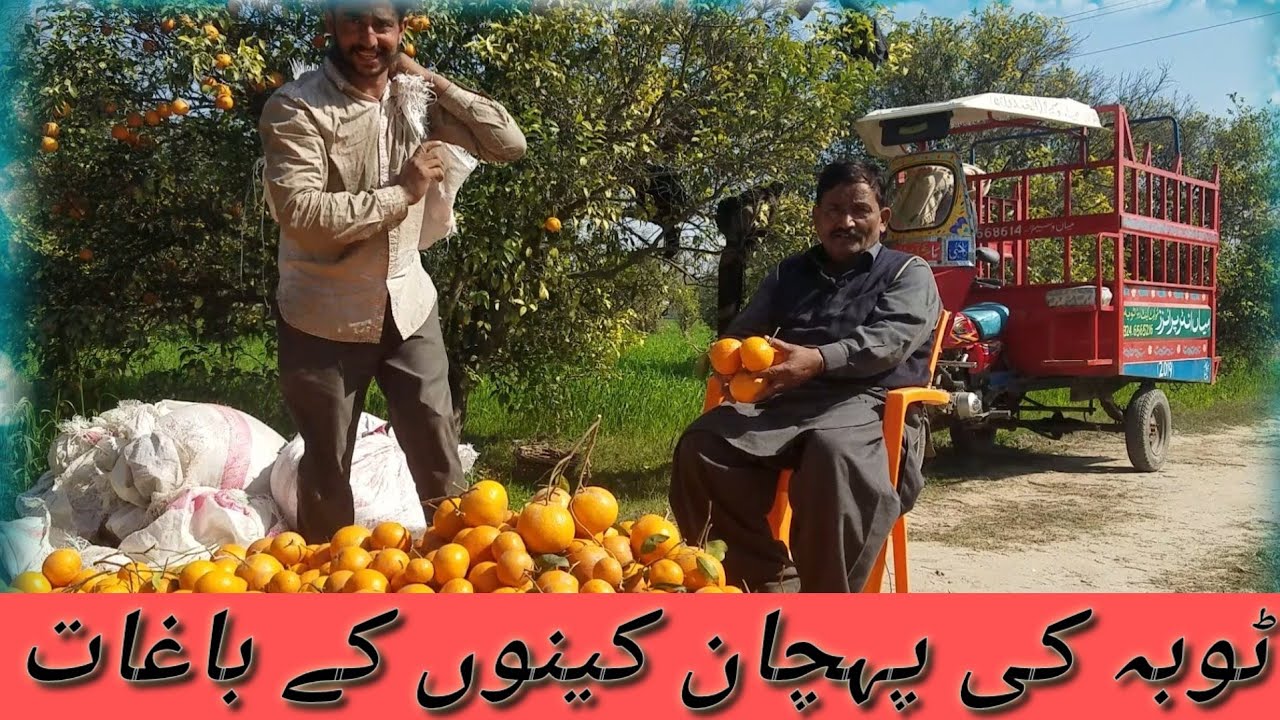 keno k bagat Toba ki pahchan |Aaook trek