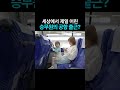 세상에서 제일 어린 승무원의 공항 출근?